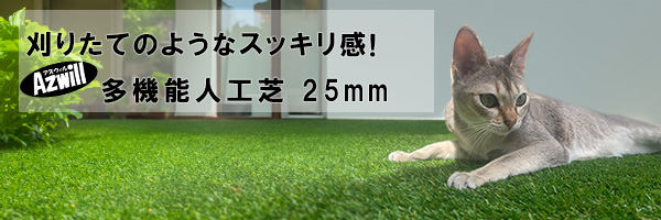 Futureshop banner s25.jpg